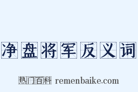 净盘将军反义词是什么意思的图片